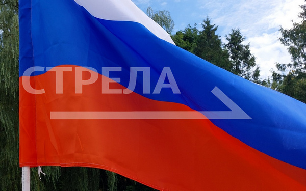 В Брянской области завершился второй день голосования