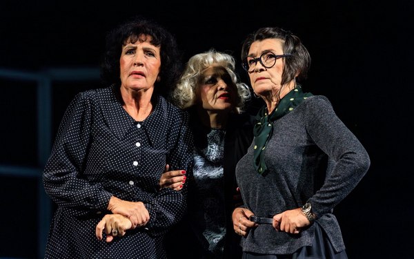 «Три красавицы» из Хакасии очаровали брянских театралов