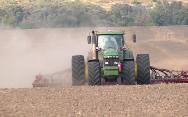 Аграрии Брянщины завершают сев озимых