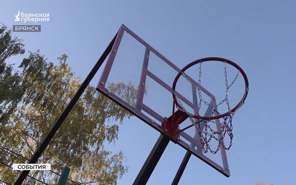 В рамках реализации федеральной программы в Брянске появились две спортивные площадки