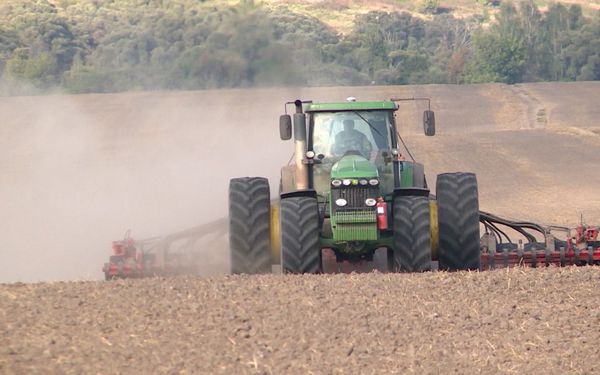 Аграрии Брянщины завершают сев озимых зерновых