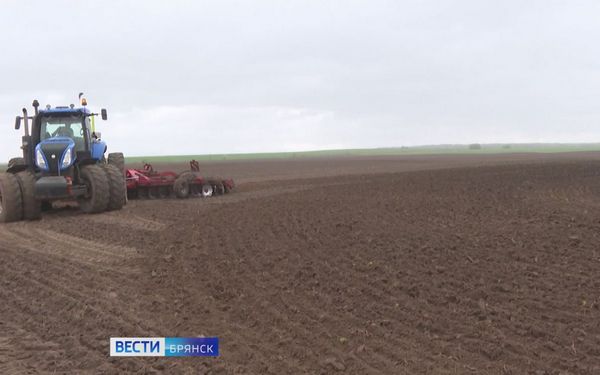 На Брянщине продолжается озимый сев зерновых культур