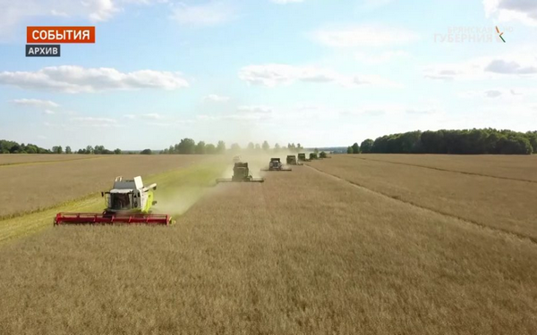 Брянские аграрии встречают профессиональный праздник с достойными результатами