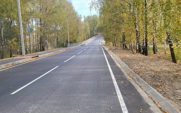 В Выгоничском районе Брянщины капитально отремонтировали участок автодороги
