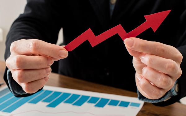 В Министерстве финансов РФ отметили высокое качество управления финансами в Брянском регионе