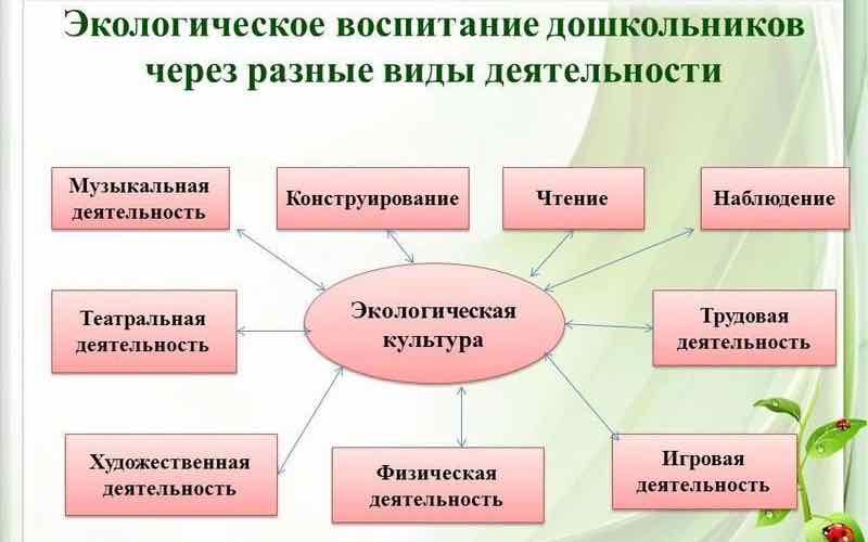Экологическое воспитание детей дошкольного возраста