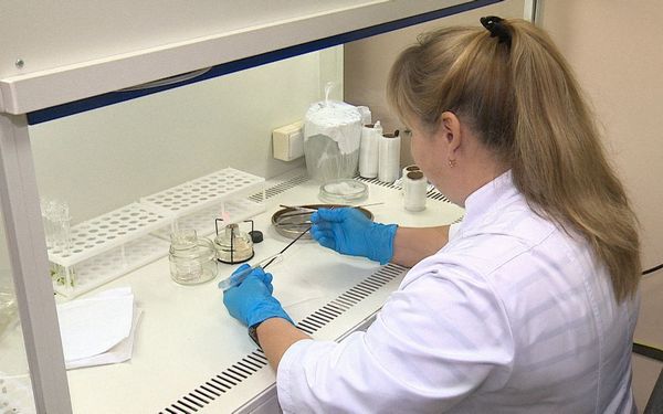 Современные биотехнологии брянских ученых