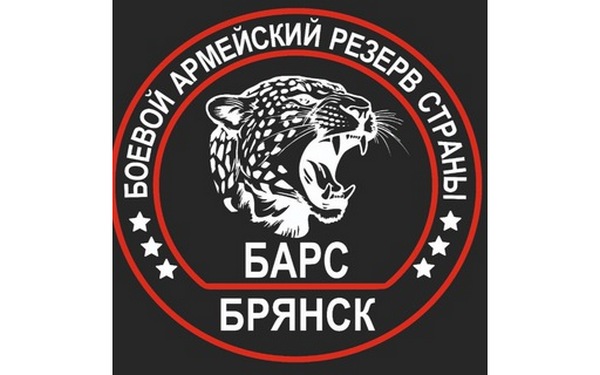 Добровольцы отряда «БАРС-Брянск» отвечают на вопросы земляков