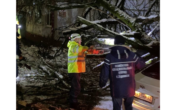 Вчера в Брянске спасатели и коммунальщики убрали несколько десятков поваленных деревьев