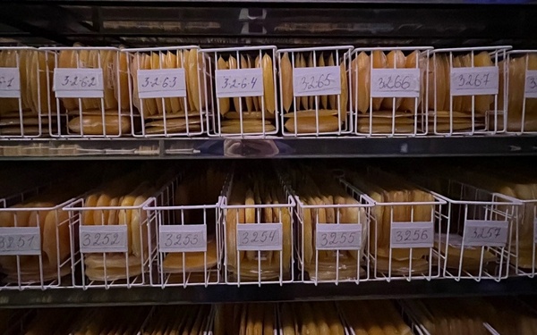 Брянские доноры активно пополняют банки крови и плазмы