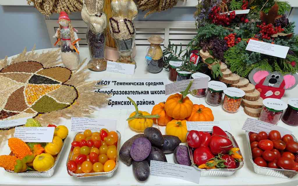 Использование возможностей учебно-опытного участка для формирования исследовательских компетенций учащихся