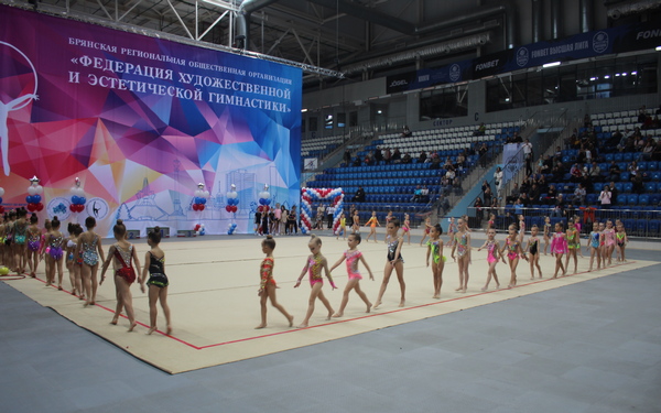 В Брянске стартовал чемпионат области по художественной гимнастике