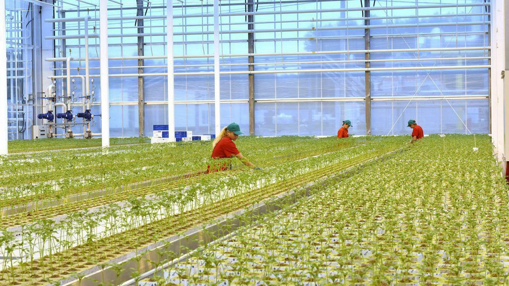 На Брянщине реализуется инвестиционный проект по развитию сельской территории