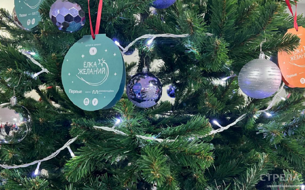 В общественной приёмной «Единой России» в Брянске проходит акция «Ёлка желаний»