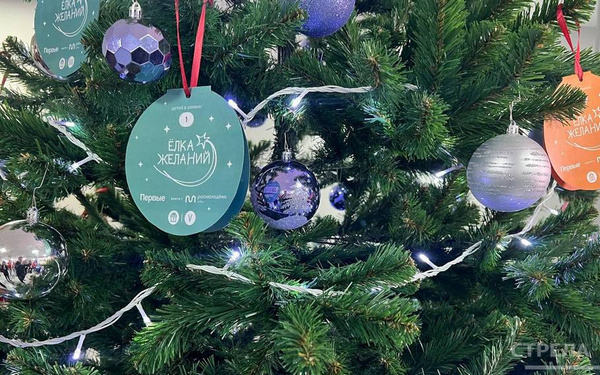 Ежегодную «Ёлку желаний» открыл Губернатор Александр Богомаз