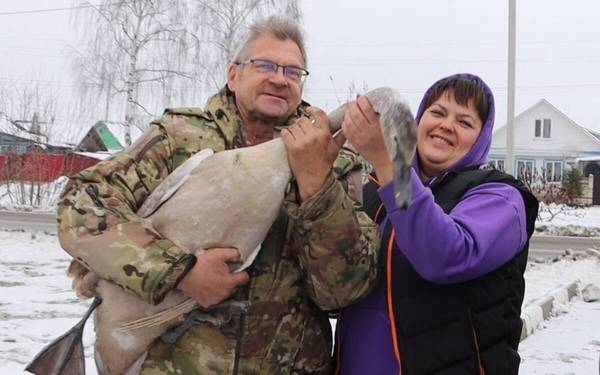 Стародубский фермер спас лебедя, которому лиса повредила крыло