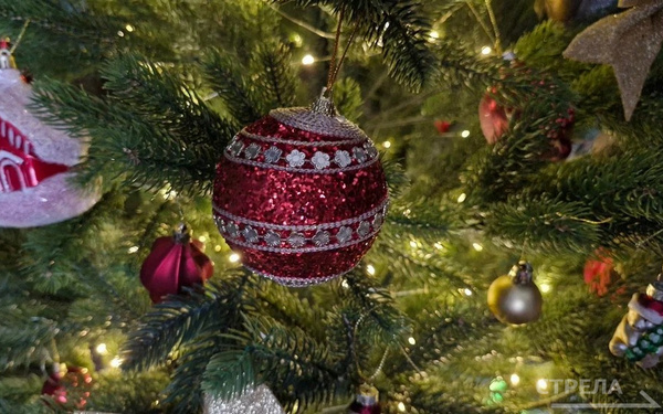 Брянцам предложили поучаствовать в акции «Ёлка желаний»