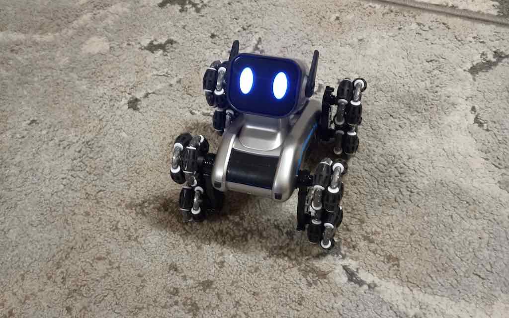 Путешествие по лесным тропинкам