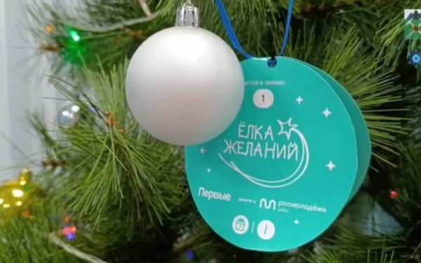 Брянцы исполнили новогодние желания детей из подшефной Брянки