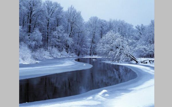 Сотрудники заповедника «Брянский лес» отмечают профессиональный праздник