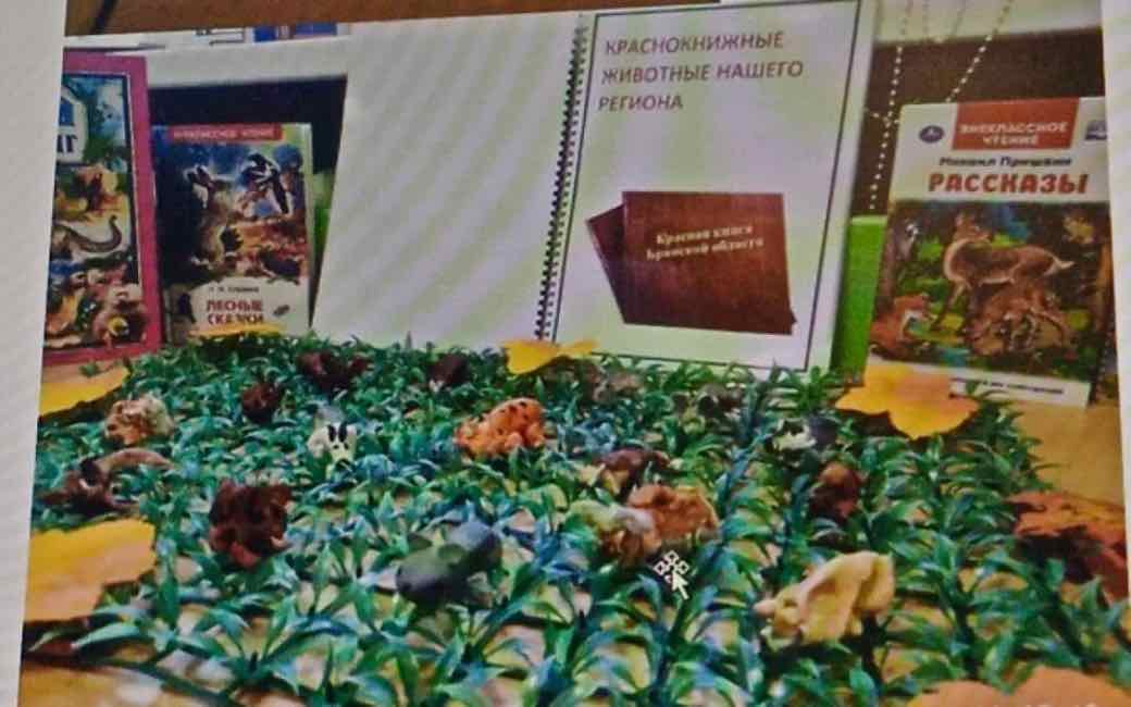 Краснокнижных животные Брянской области