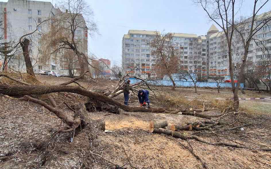 На прошедшей в Брянске санитарной пятнице собрали 233 кубометра мусора 