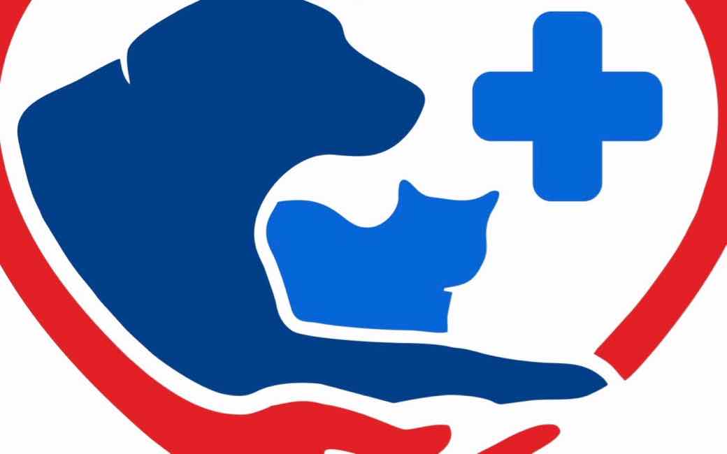 В Клетне Брянской области капитально отремонтировали здание ветеринарной станции