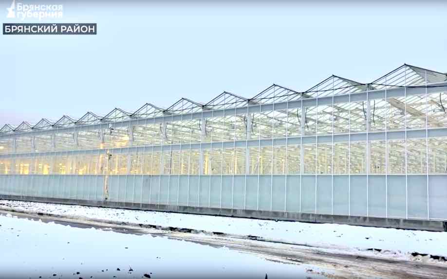 В селе Журиничи Брянской области готовят к запуску новые теплицы