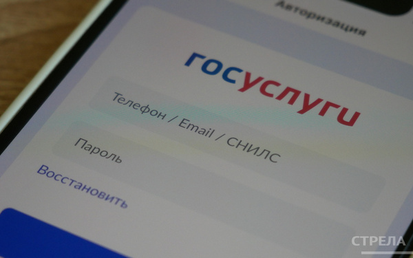 Жители Брянщины активно используют функционал приложения Госуслуги.Дом