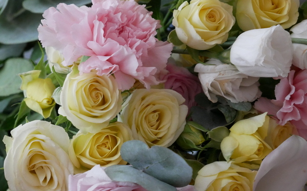 Два врача Брянской области удостоены высоких званий