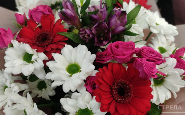 Свой профессиональный праздник в Брянской области отмечают 1359 фельдшеров