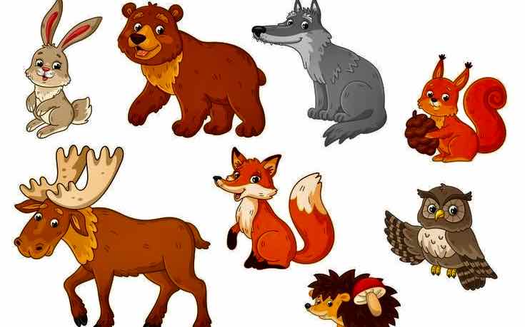 Дикие животные