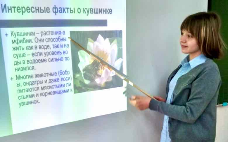 Белая кувшинка