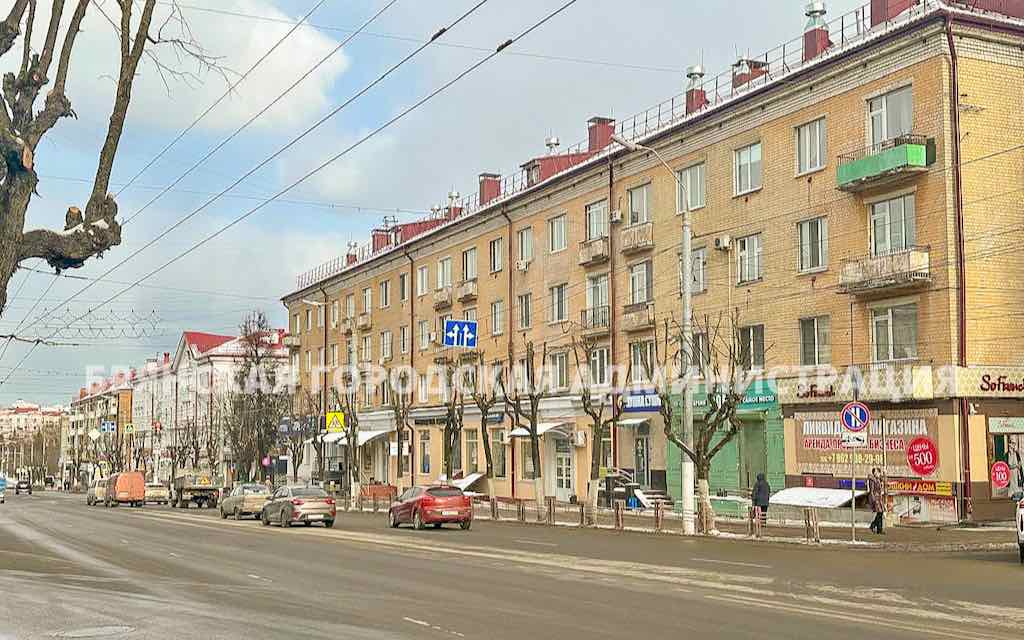 В Брянске с начала года обрезали более 700 деревьев