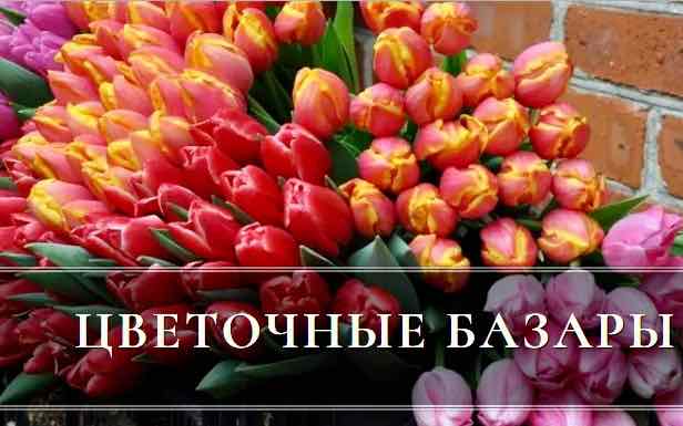 В Брянске с 5 марта начнут работу цветочные ярмарки