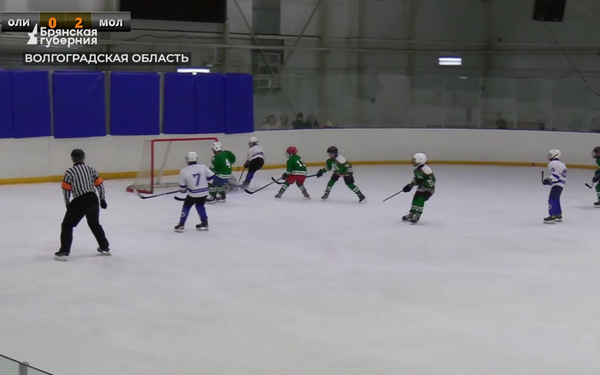 Губернатор Волгоградской области Бочаров организовал приём юных стародубских хоккеистов-земляков