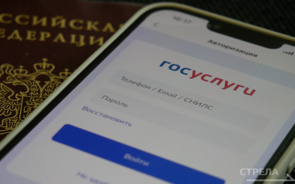 С помощью приложения Госуслуги.Дом брянцы решают бытовые вопросы