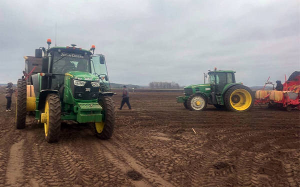 На Брянщине аграрии начали посев раннего картофеля