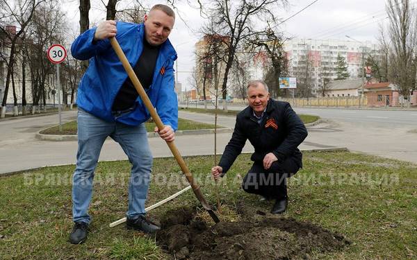 В Брянске посадили 80 молодых деревьев