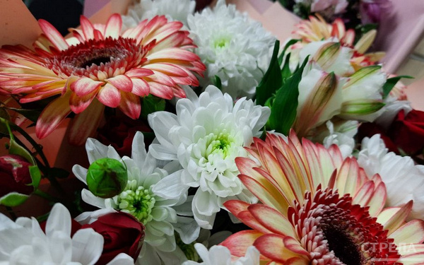 В Погарском районе труженикам тыла вручены памятные медали