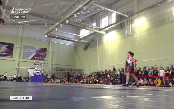 В Брянске состоялся турнир по вольной борьбе в честь героя СВО Дмитрия Седнева