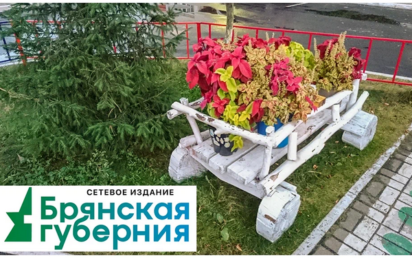 На благоустройство двух дворов в брянской Сеще направят 2 млн рублей