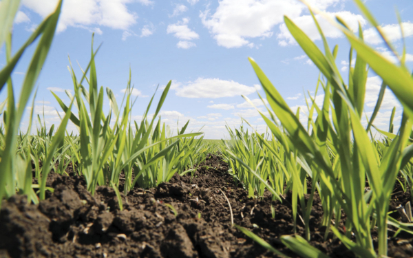 Брянские аграрии готовятся к выходу в поле