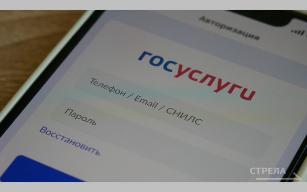 В приложении «Госуслуги.Дом» появились функции для владельцев частных домов