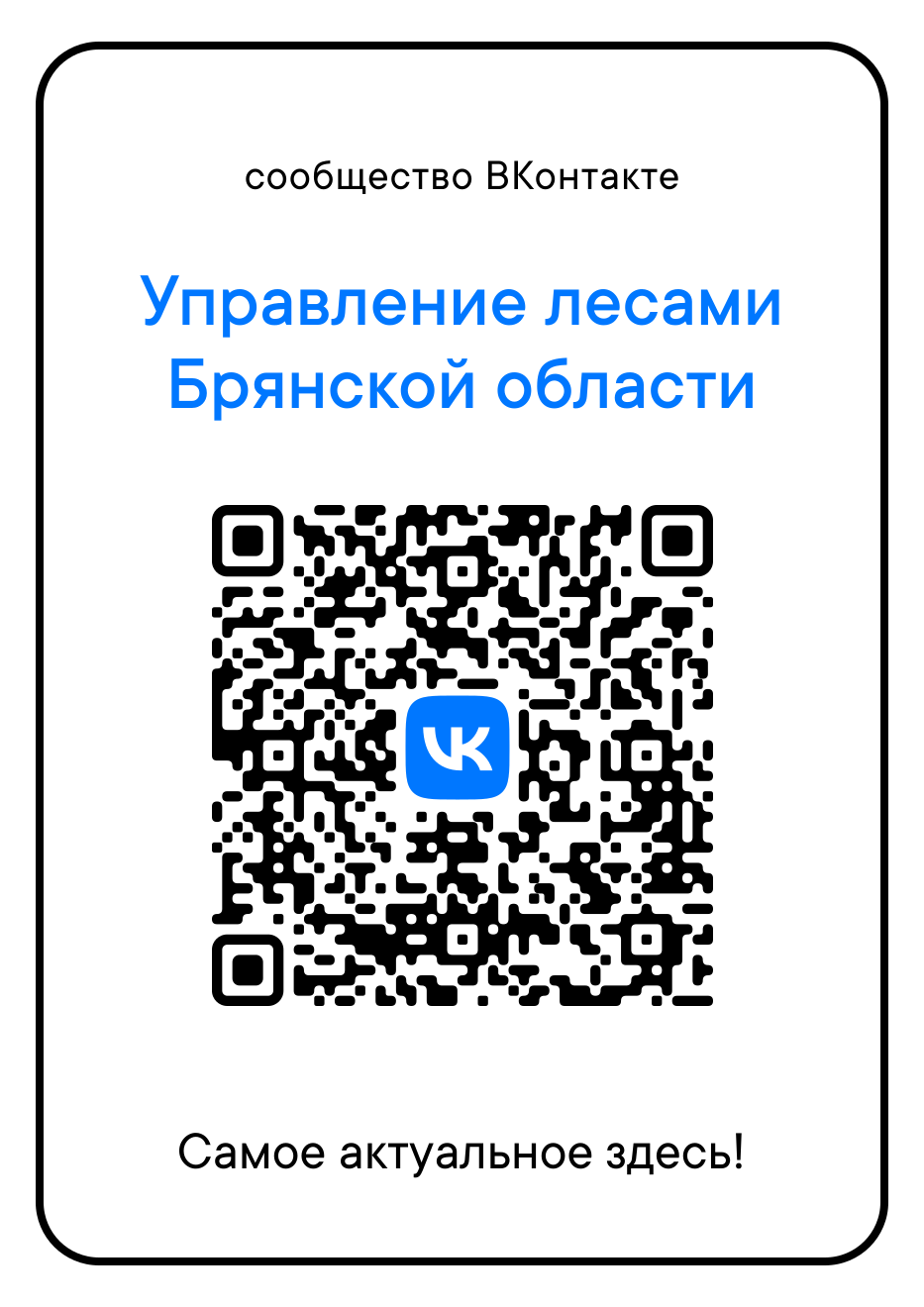Брянцам рассказали о госпаблике управления лесами