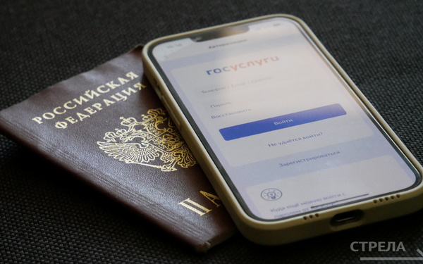 Жители Брянщины активно используют дополненный функционал приложения Госуслуги.Дом