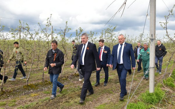 Губернатор Брянской области Александр Богомаз принял участие в акции «Сад памяти»
