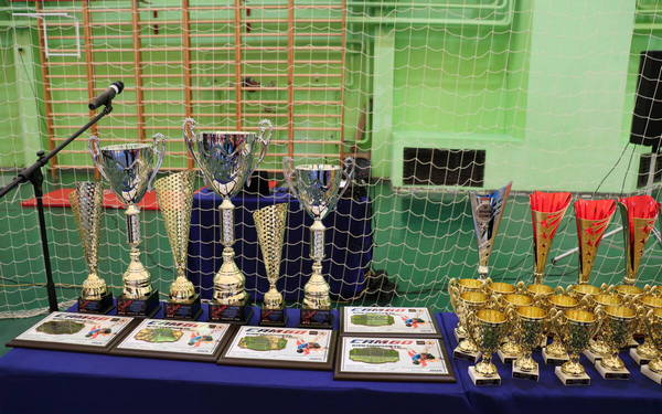 Открытое первенство округа по самбо проходит в Стародубе