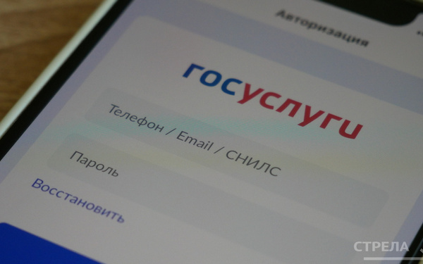 Брянцам в управлении домом помогает приложение Госуслуги.Дом