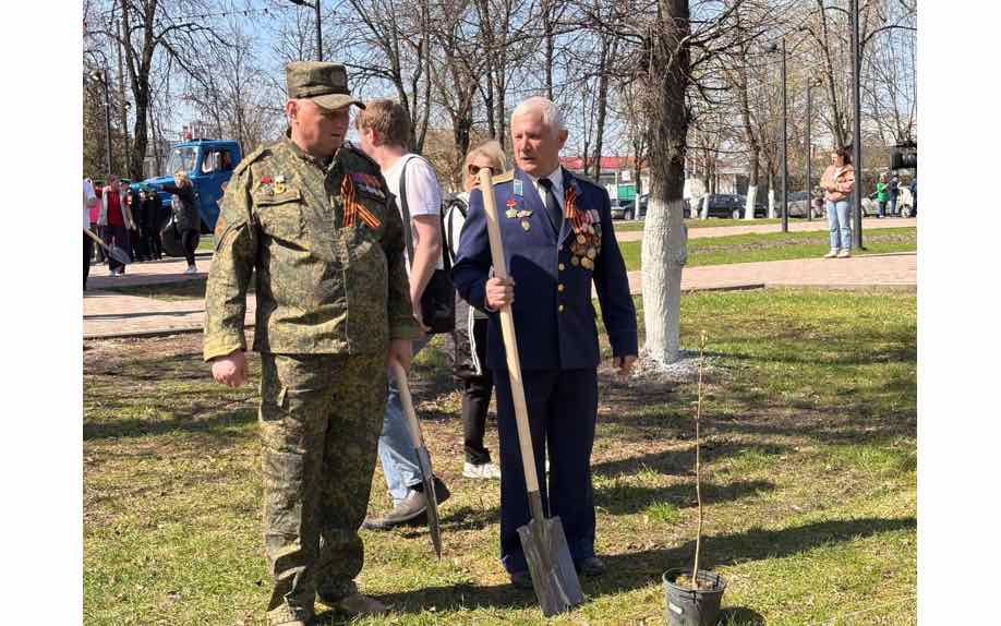 Рябиновая аллея памяти героев появилась в сквере Ленина в Володарском районе Брянска